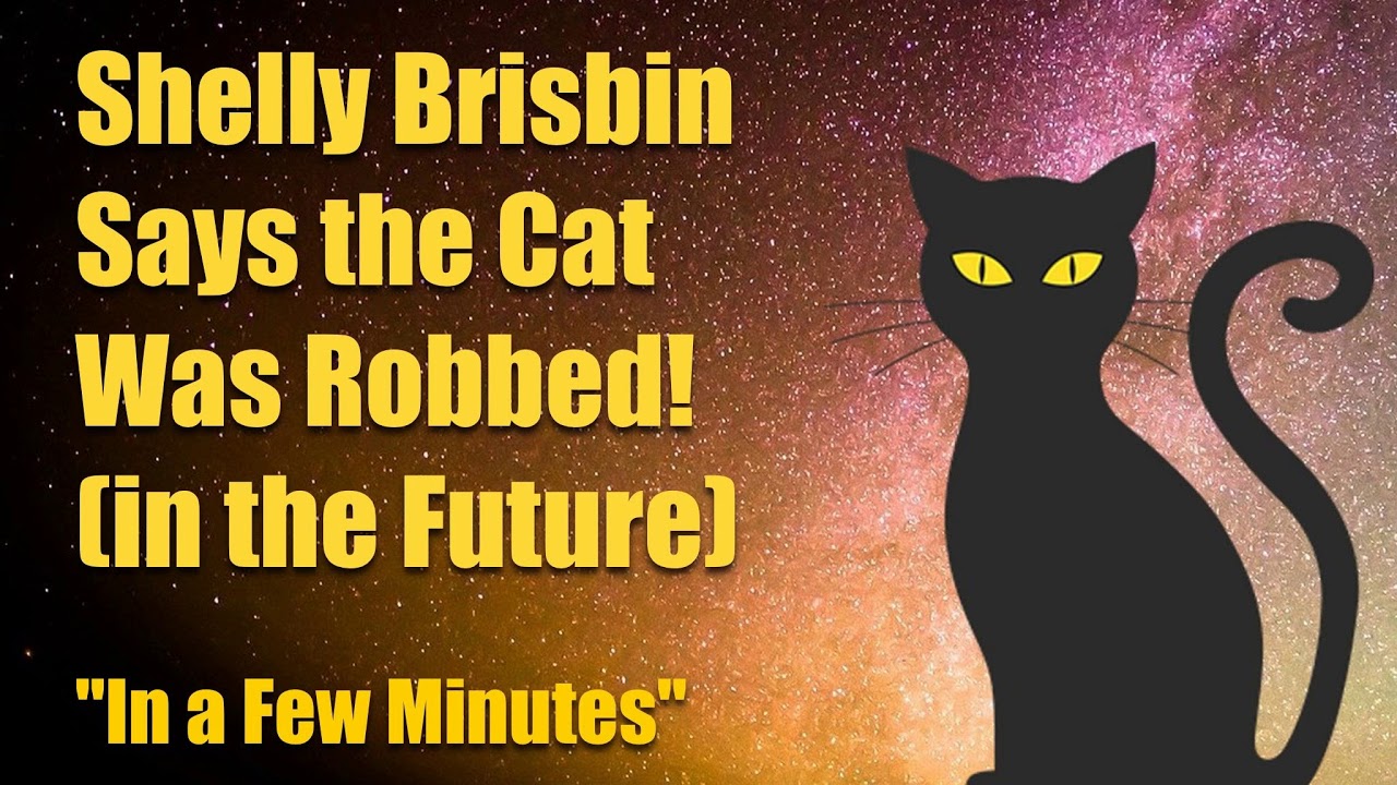 Shelly Brisbin Says the Cat Was Robbed - In a Few Minutes