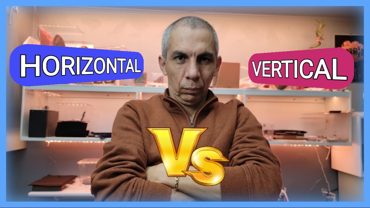 🚩DISEÑO de Hormiguero VERTICAL vs HORIZONTAL (Forma de las camaras y EFECTO sobre la PROLE