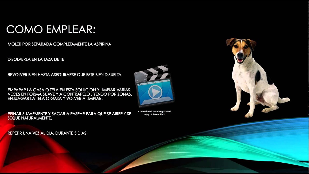 Dermatitis Canina