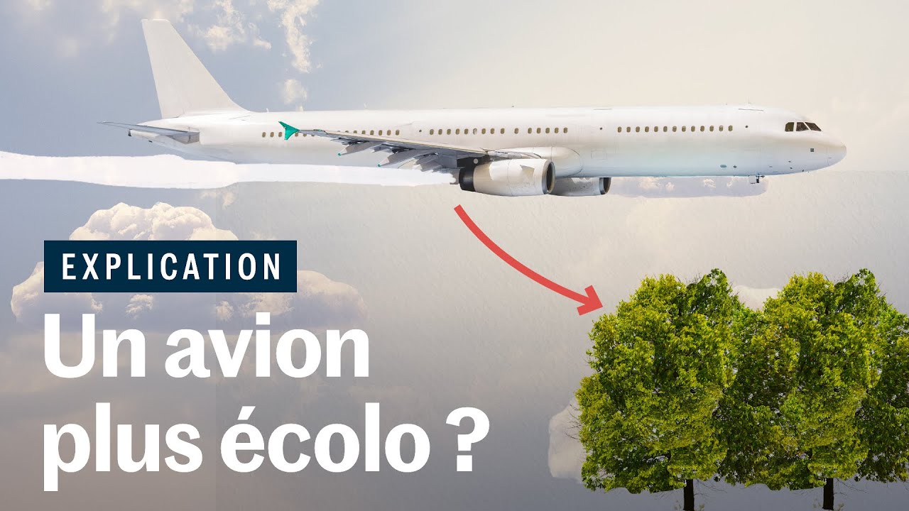 Planter des arbres pour compenser l'avion ?