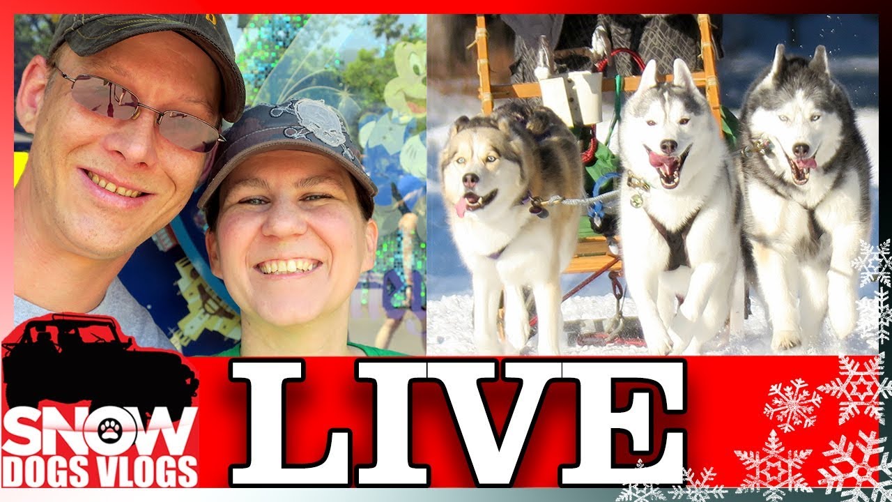 LIVE QnA and Mail Unboxing with Snow Dogs Vlogs