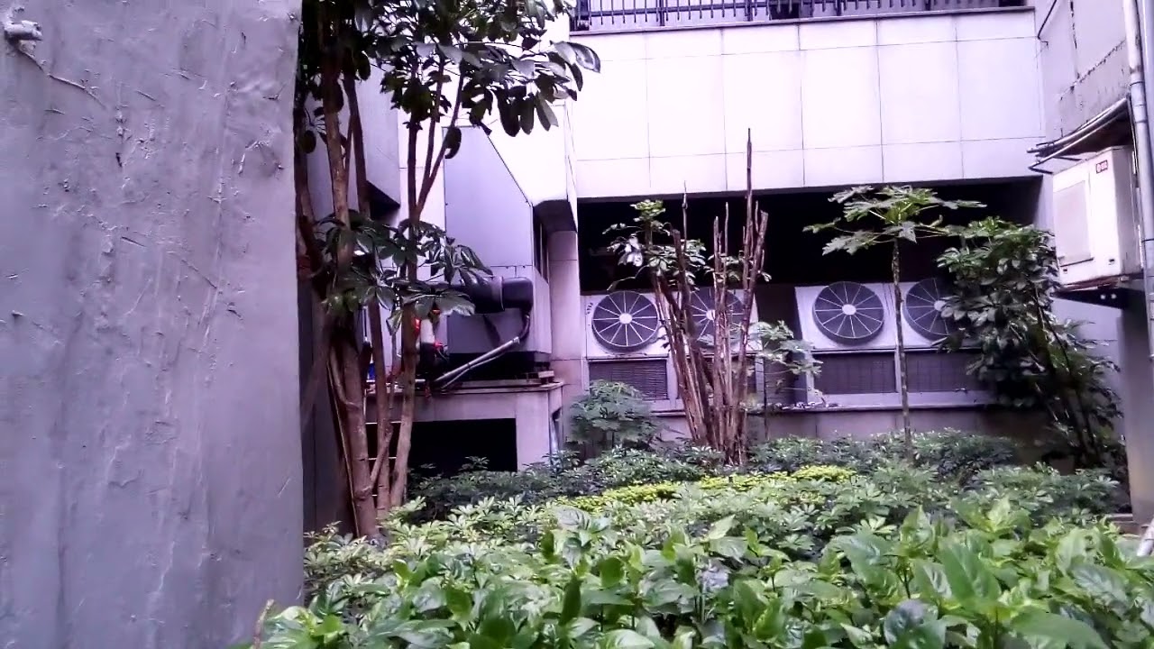 台北市環保局，大年初六下午5點，台北晶麒抽風機製造超標噪音，經嚇路過外國遊客。