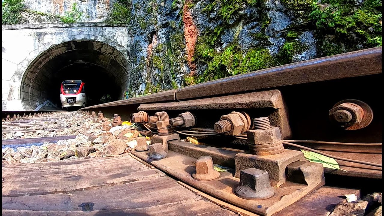 Autumn rail moments 🚂⚙💨