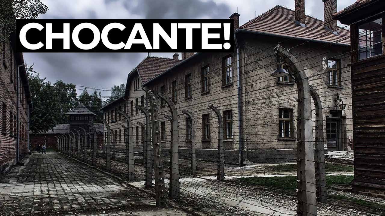 Um Dia Em AUSCHWITZ: Campo de concentra&ccedil;&atilde;o [CENAS FORTES] #ep54