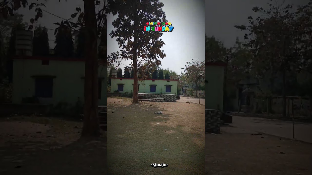 କାଶୀପୁର School//Sunday Reel Video//#vlog #vlogs #school #shorts #youtubeshorts