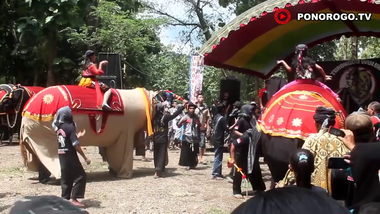 3 Gajah & 1 Unta Di Sendang Tunggul Wulung Kupuk Bungkal, Peduli Longsor Banaran Pulung Ponorogo