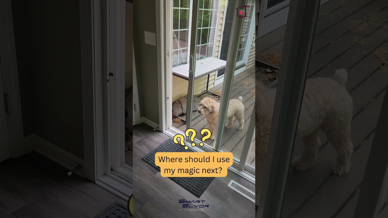 Smart Dog Door - PetTag Activated Solution