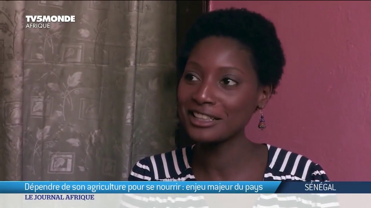 Sénégal : agriculture, l'autosuffisance alimentaire un enjeu majeur - Présidentielle 2019