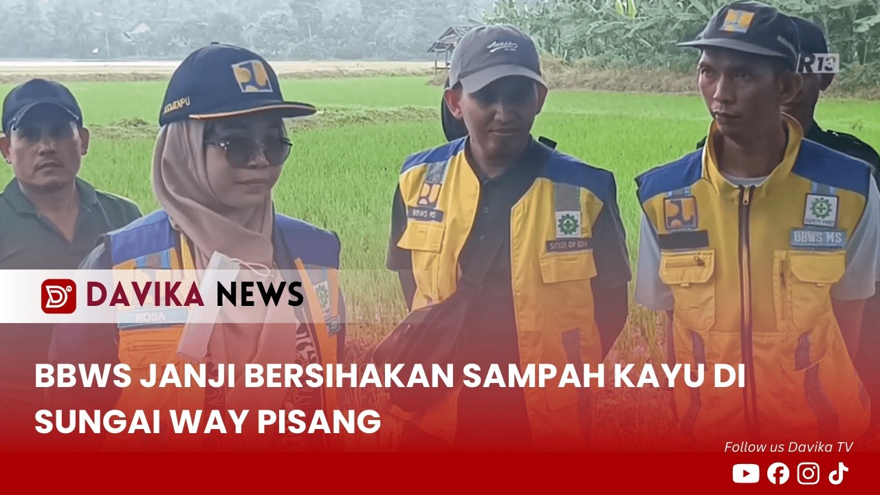 BBWS JANJI BERSIHAKAN SAMPAH KAYU DI SUNGAI WAY PISANG - DAVIKA NEWS