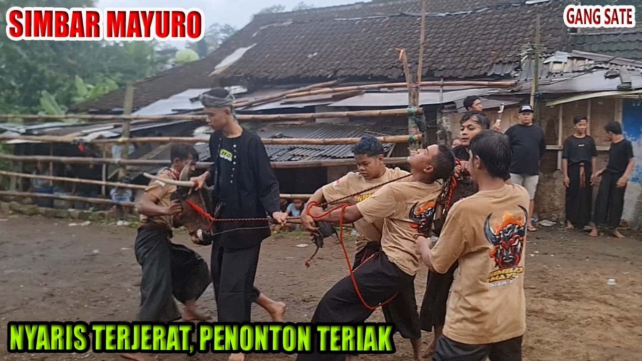 DETIK - DETIK SIMBAR MAYURO NYARIS TERJERAT PENONTON TERIAK  GANG SATE HAMPIR RICUH