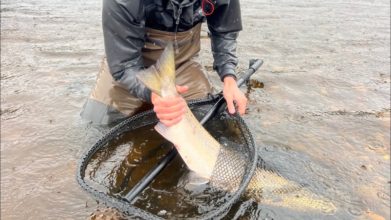 Burnfoot beat, Border Esk Salmon fishing