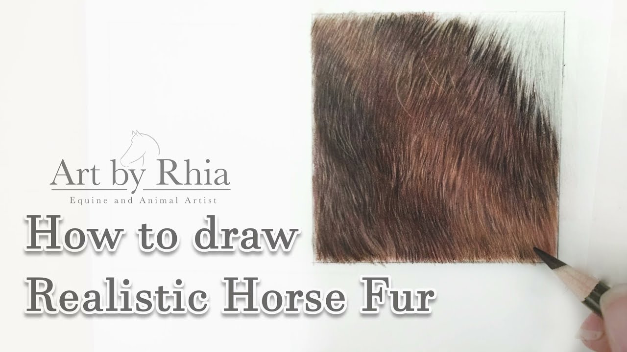 How To Draw Realistic Looking HORSE FUR With Coloured Pencils