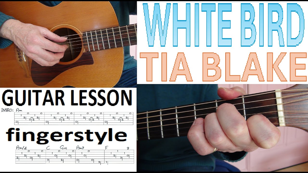WHITE BIRD - TIA BLAKE fingerstyle GUITAR LESSON