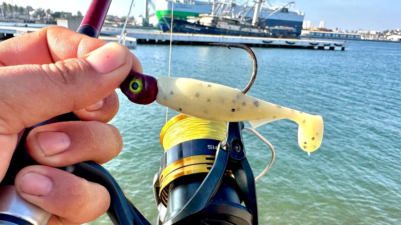 Pesca de PARGOS en la ORILLA de los MANGLARES || pescando con SEÑUELOS PLÁSTICOS. 