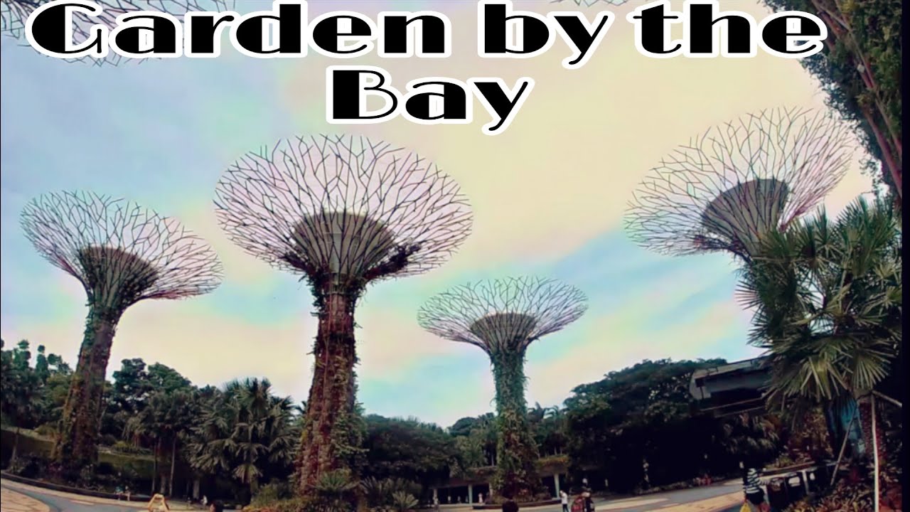 Beautiful Garden By the Bay in Singapore