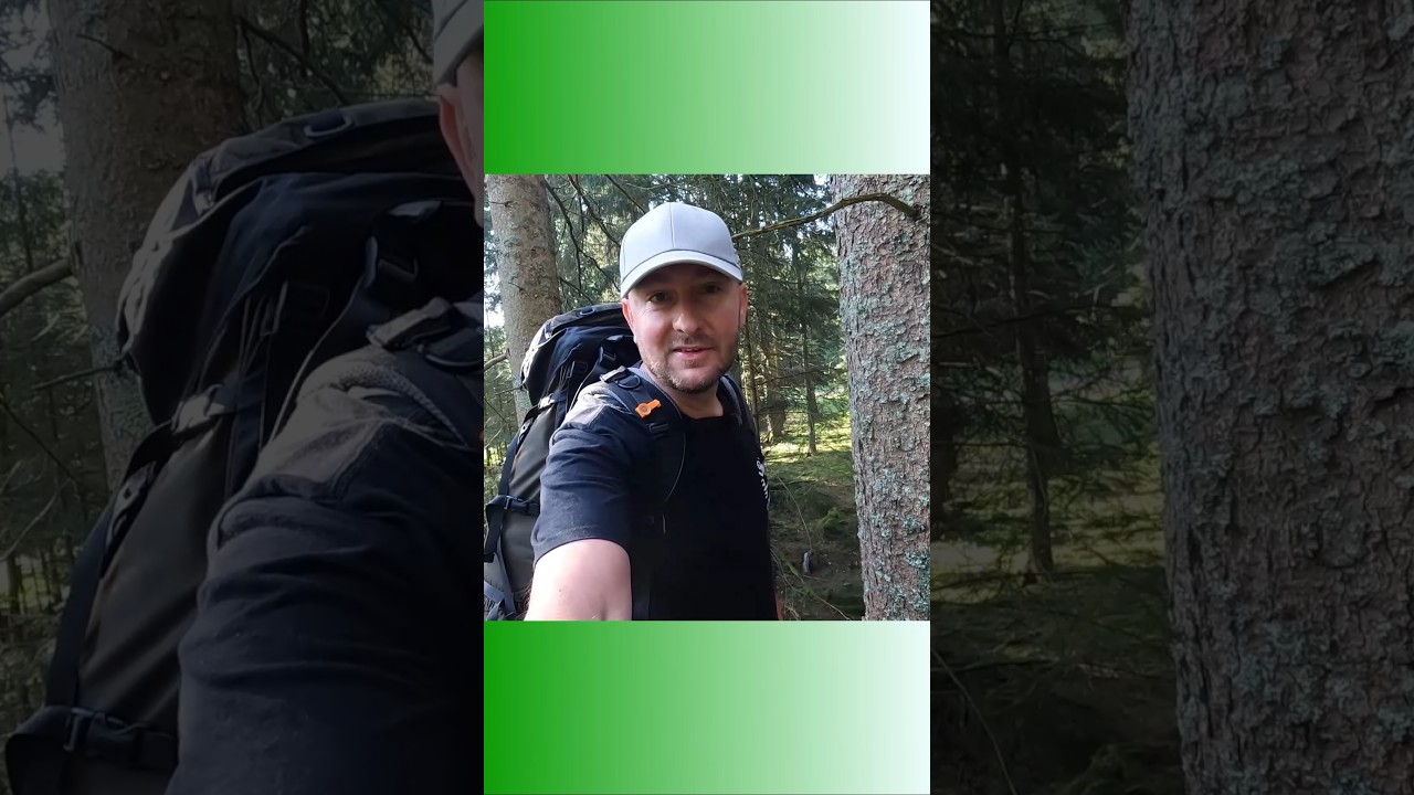 🔍Schwarzwald Expedition: Geheimnisse vergessener St&auml;tten