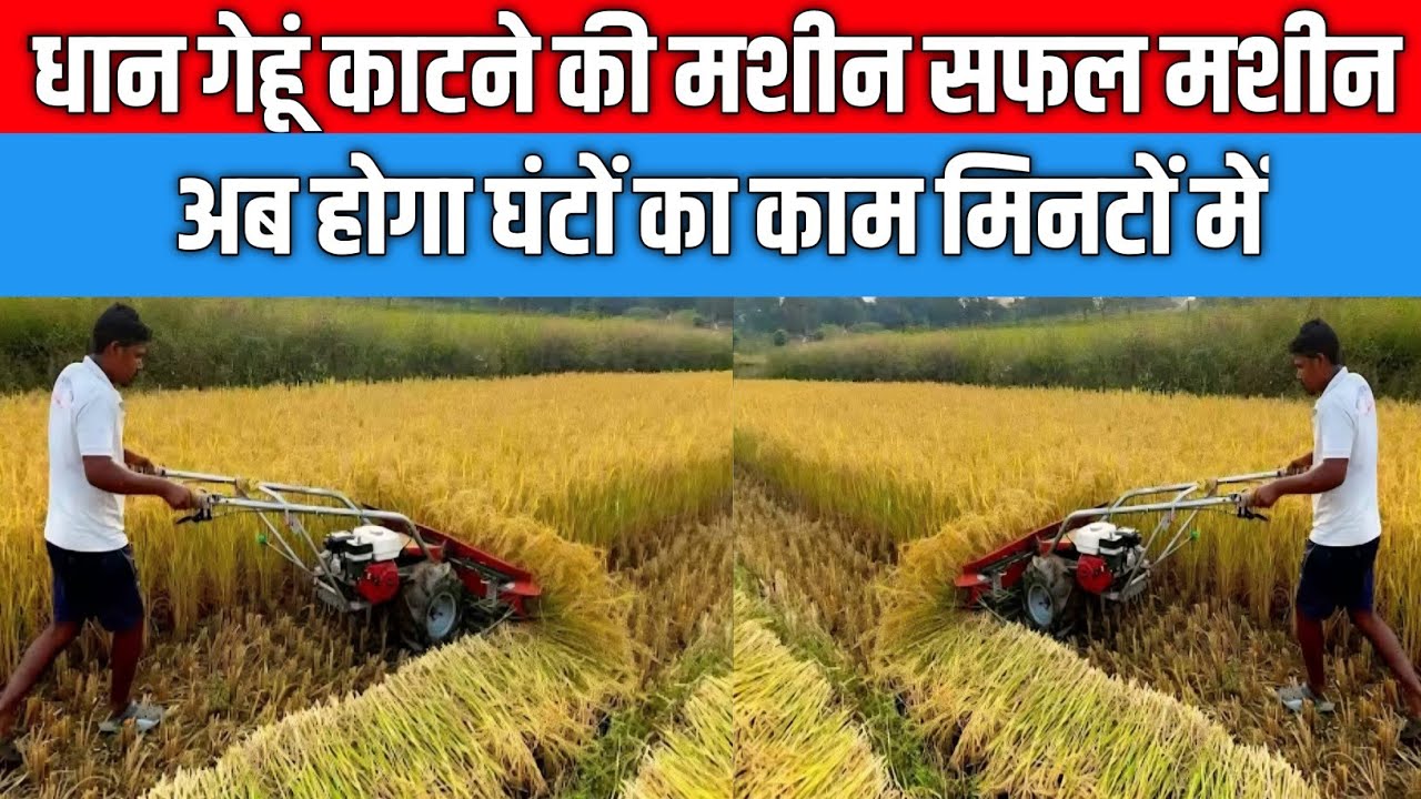 धान गेहूं मक्का सब की कटाई घंटों का काम मिनटों में Power Reaper Machine Price Dhaan katne ki machine