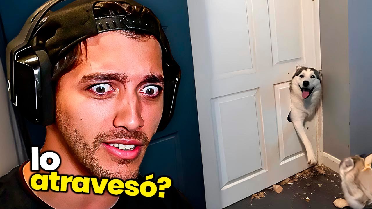 Viendo Las PUERTAS de Mis SUBS 2