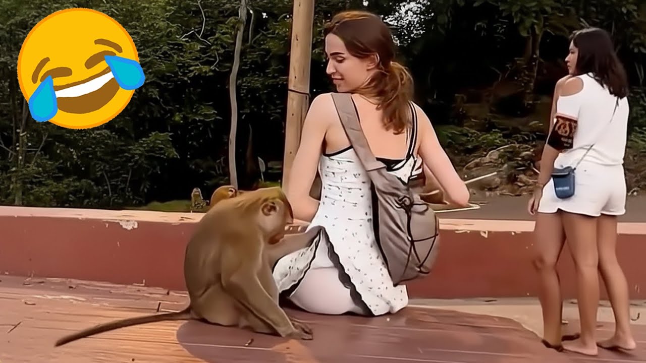 TRY NOT TO LAUGH 🤣 - Best Funny Videos Tiktok Compilation 2025 - Fails & Hilarious Moments 😂 Part 92