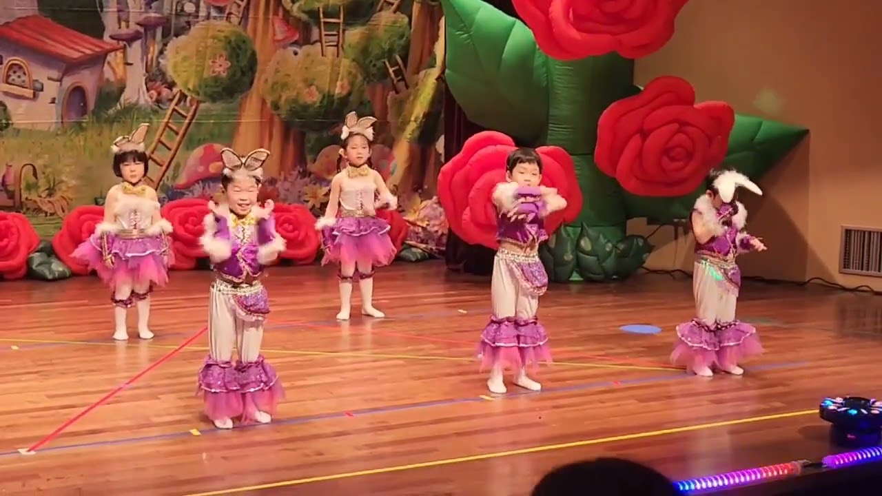 송예준 돼지토끼