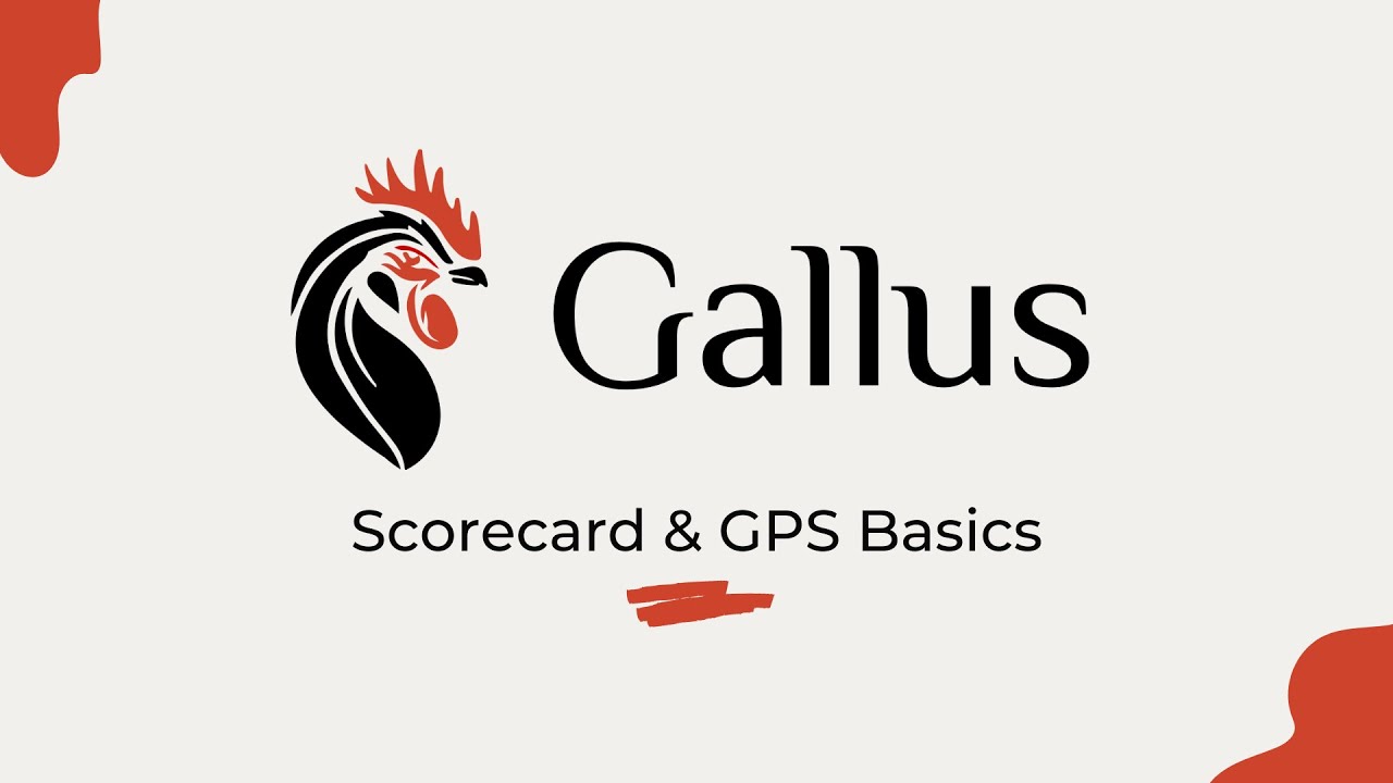 Scorecard & GPS Basics