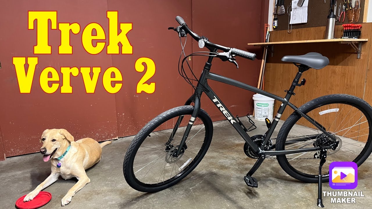 Trek Verve 2 Disc (2023)