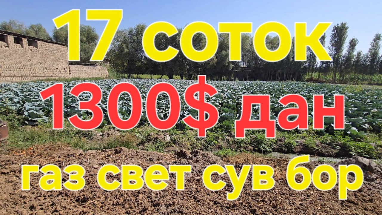 Участка сотилади 1 сотиги 1300 дан газ свет сув бор 