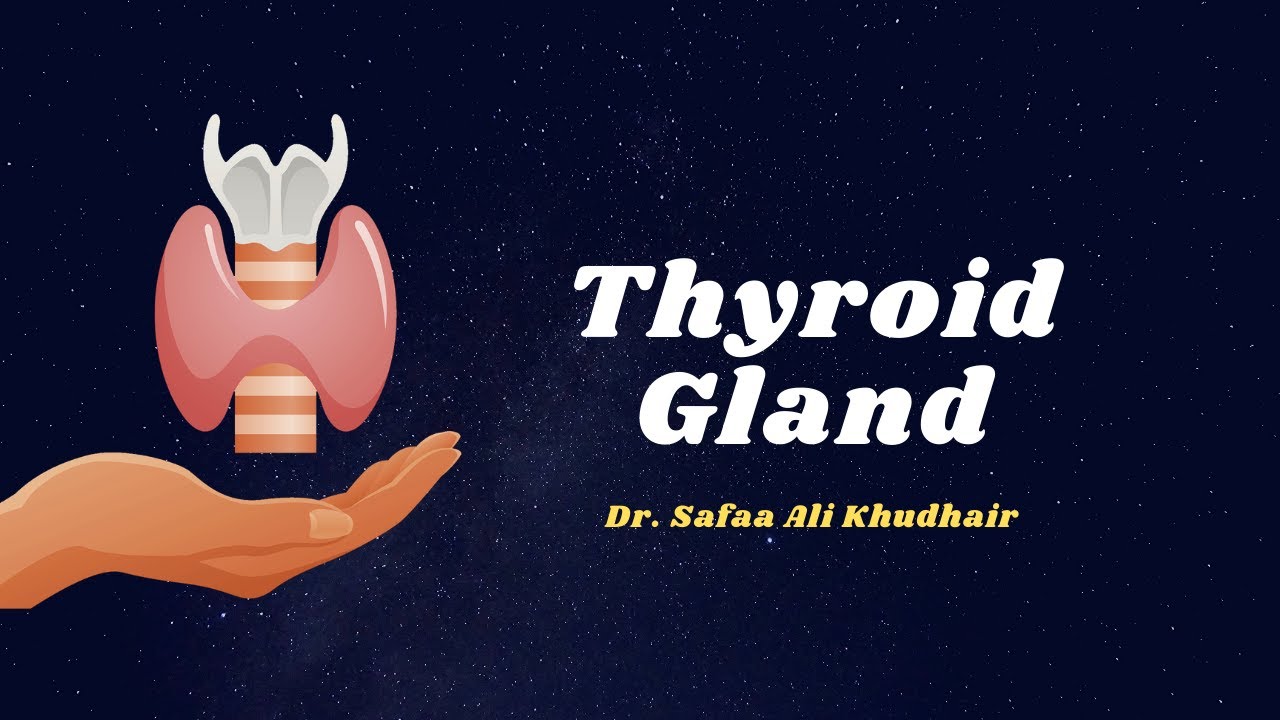 Thyroid Diseases - Dr. Safaa Ali Khudhair