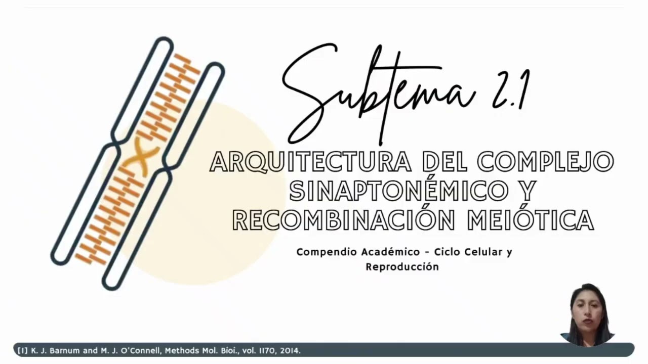 Presentación Ciclo Celular y Preproducción Extendido