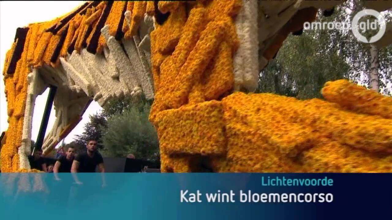 Kat wint bloemencorso Lichtenvoorde
