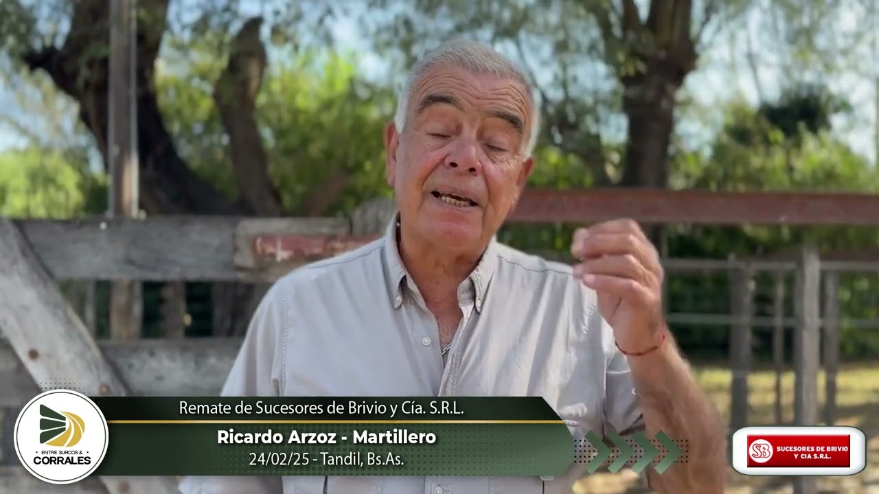 24-02-26 - Ricardo Arzoz - Martillero - Remate de Sucesores de Brivio y Cía. S.R.L. - Tandil, Bs.As