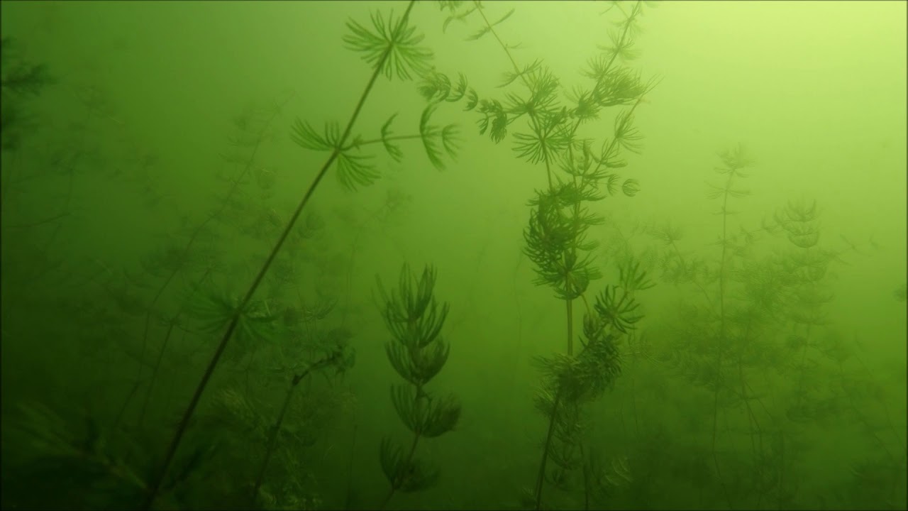 Baggersee Meinbrexen
