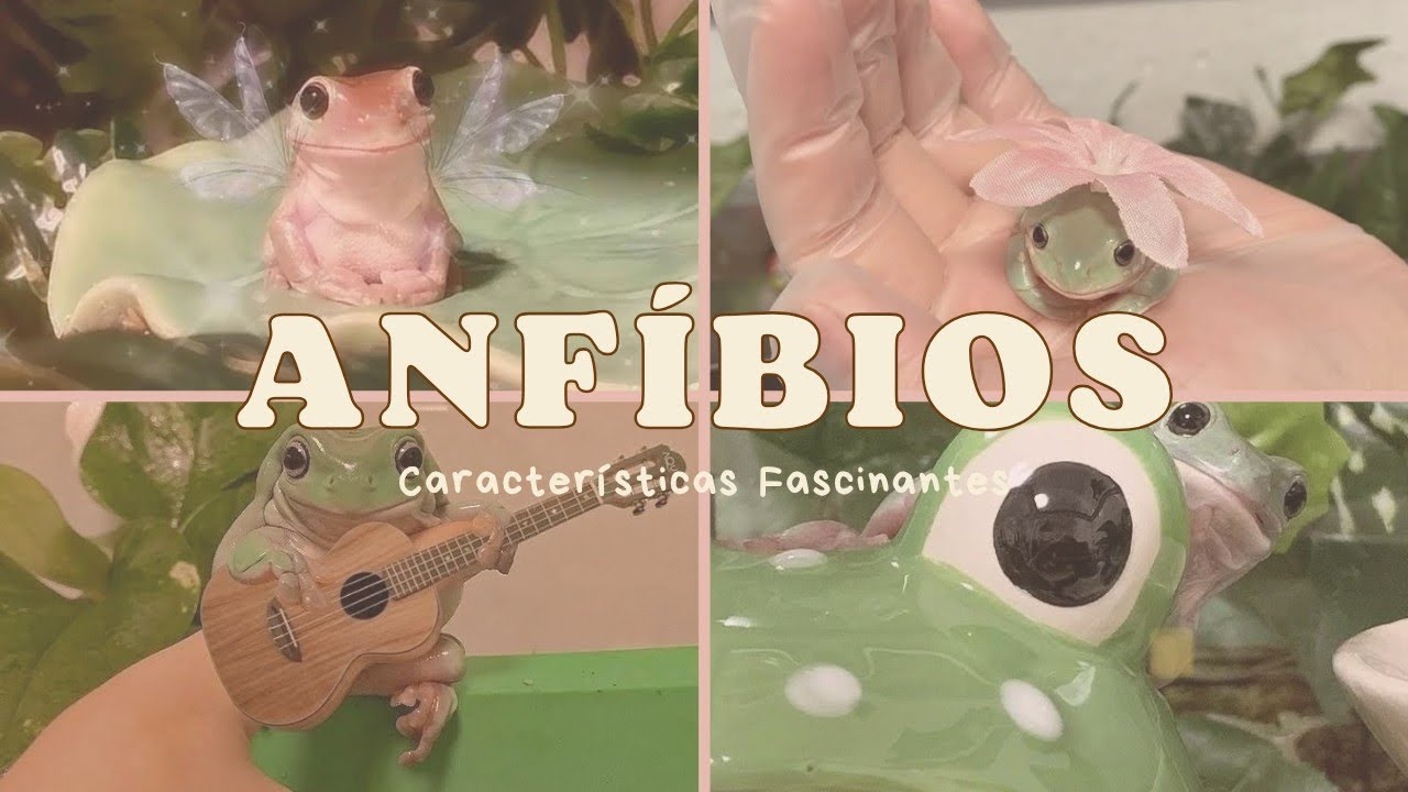 Anfíbios: 09 características fascinantes sobre os anfíbios