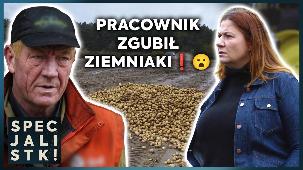 BYŁA WŚCIEKŁA NA SWOICH PRACOWNIKÓW❗LICZYŁA STRATY ZE ZGUBIONYCH ZIEMNIAKÓW 😮  | Specjalistki