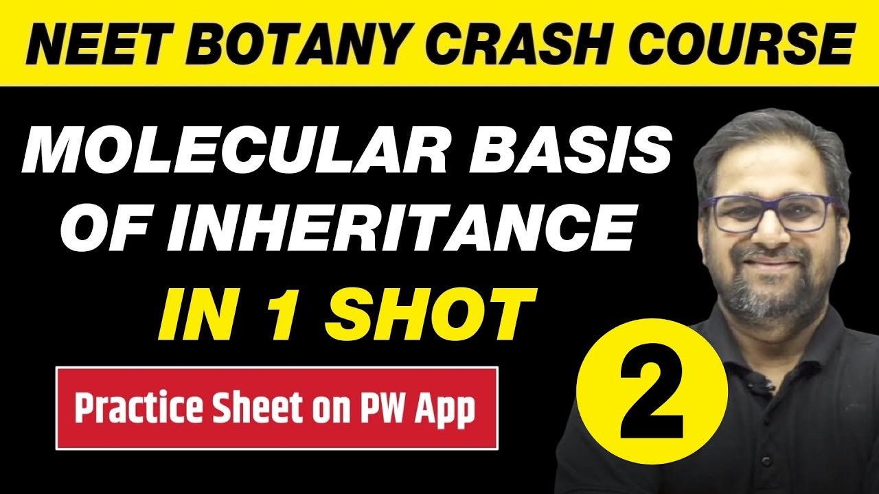 MOLECULAR BASIS OF INHERITANCE in One Shot Part 2 - All Theory, Tricks & PYQs | Class 12 | NEET
