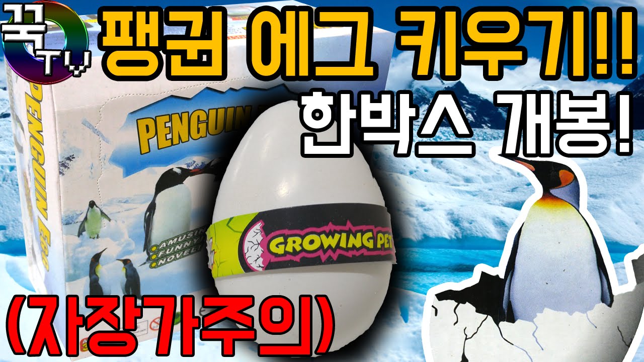 팽귄알 키우기!! 장난감 한박스개봉! (자장가주의ㅋㅋㅋㅋㅋㅋㅋ)[ 꾹TV ]