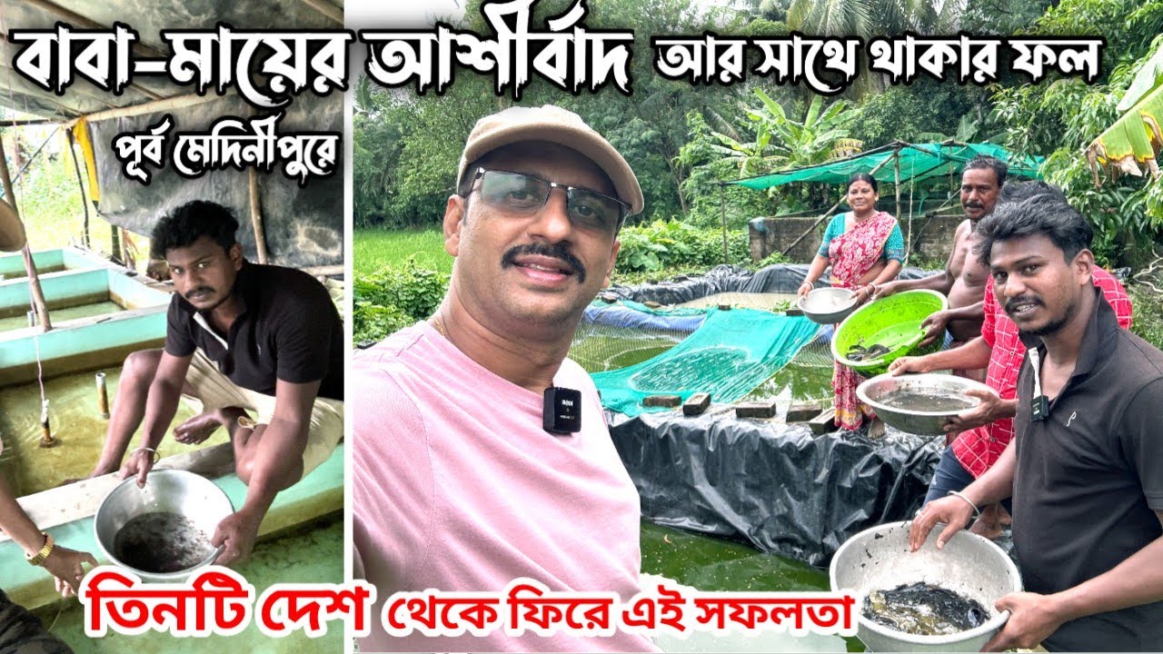 মাগুর শিঙি ব্রিডিং-এ ছয়বার সফলতা চিএ এবার পূর্ব মেদিনীপুরে // FISH BREEDING 