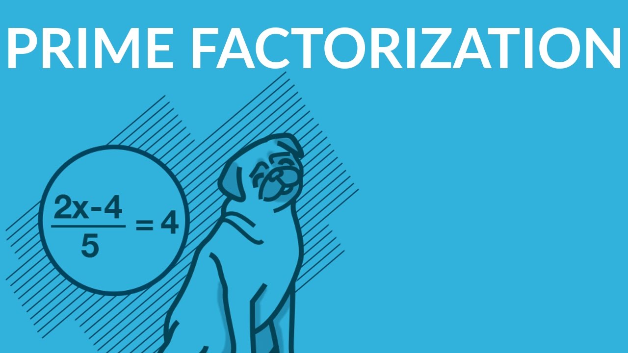 ʕ•ᴥ•ʔ Prime Factorization - Made Easy | StudyPug
