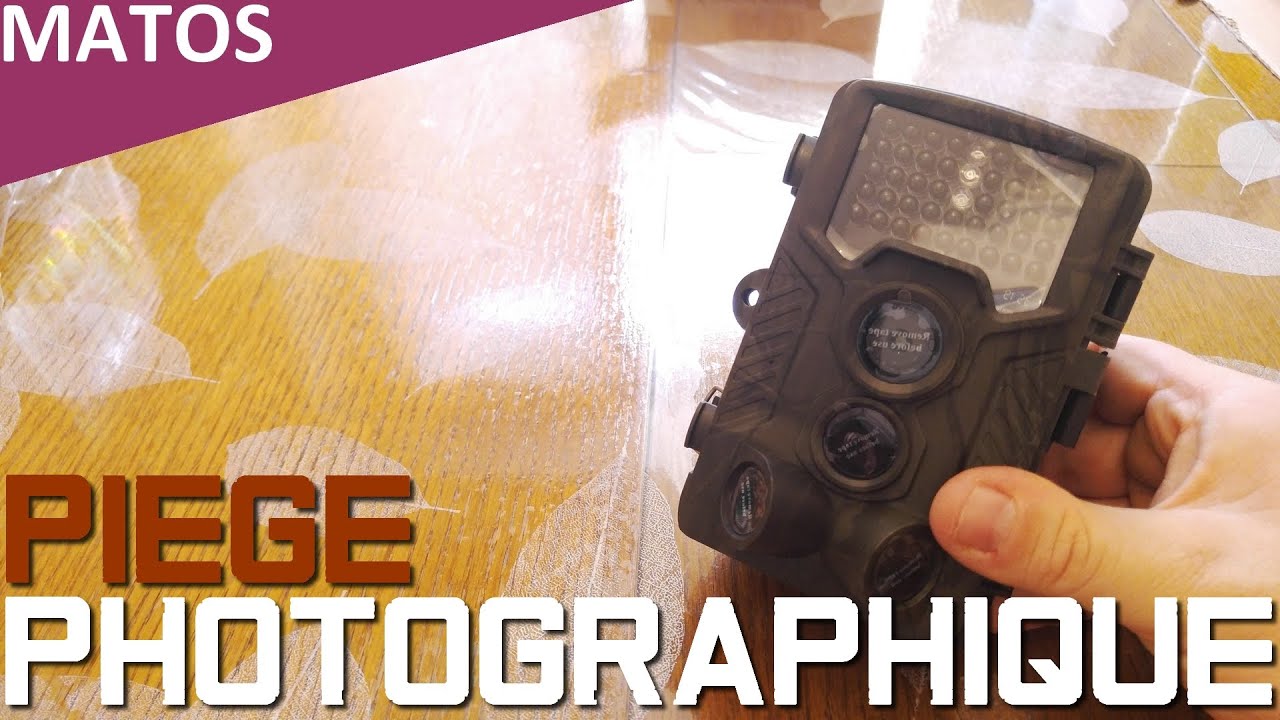 Digital wildlife camera 