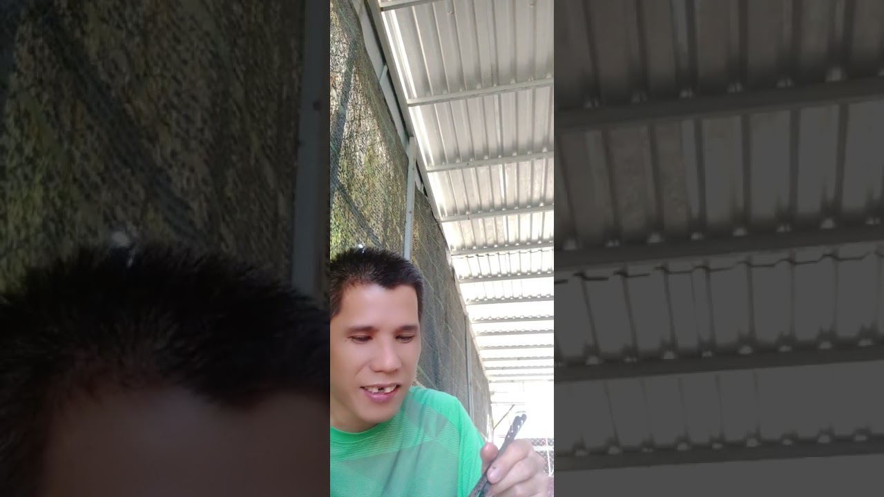 Ăn cơm cá ba sa kho canh chua cá ba sa luôn món ăn vlogs miền Tây