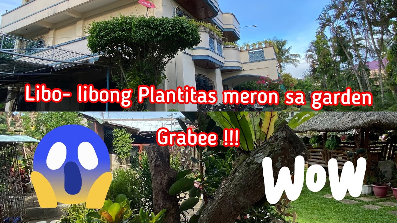 #My House in the Philippines. #Garden Tour Tayo. Grabe!! #Thousands of Plantitas. @Pinaynorwegianvlogs