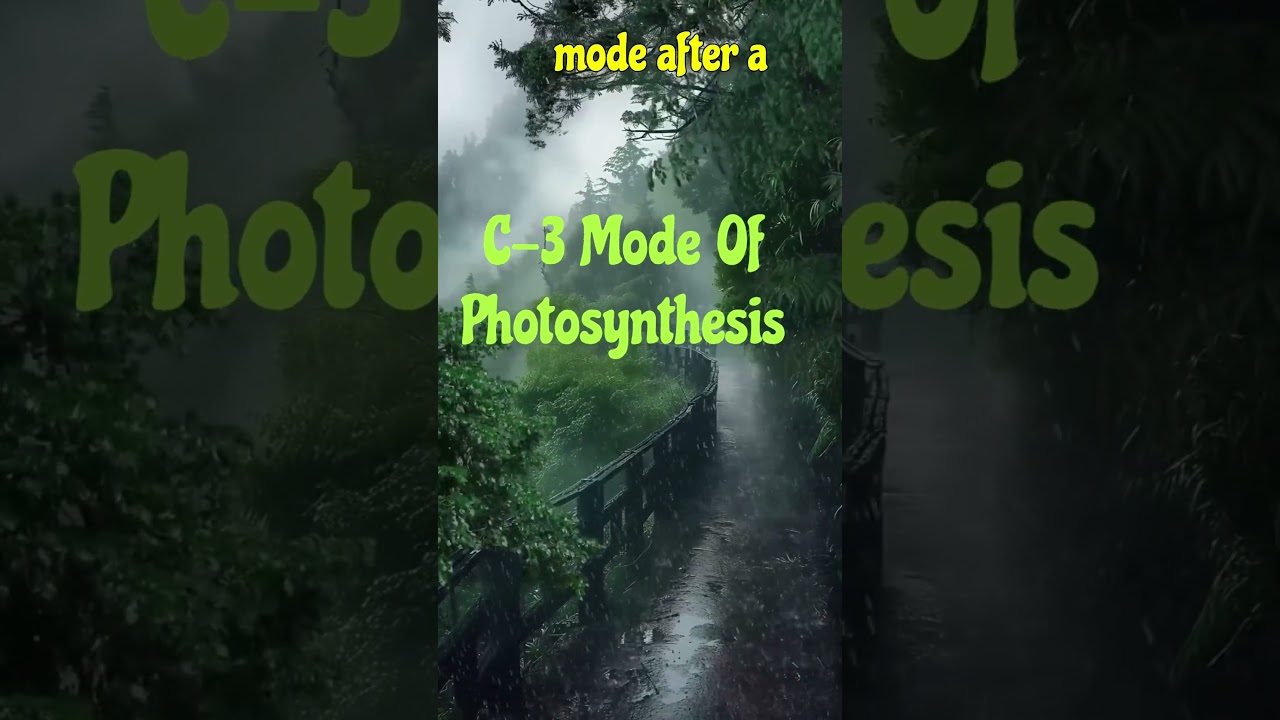 Environment Control Of CAM Plants  #photosynthesis#plantphysiology #c3cycle #c4cycle #campathway