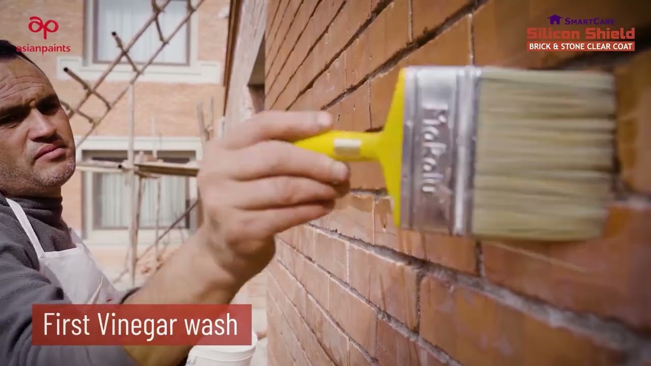 Asian Paints SmartCare Silicon Shield