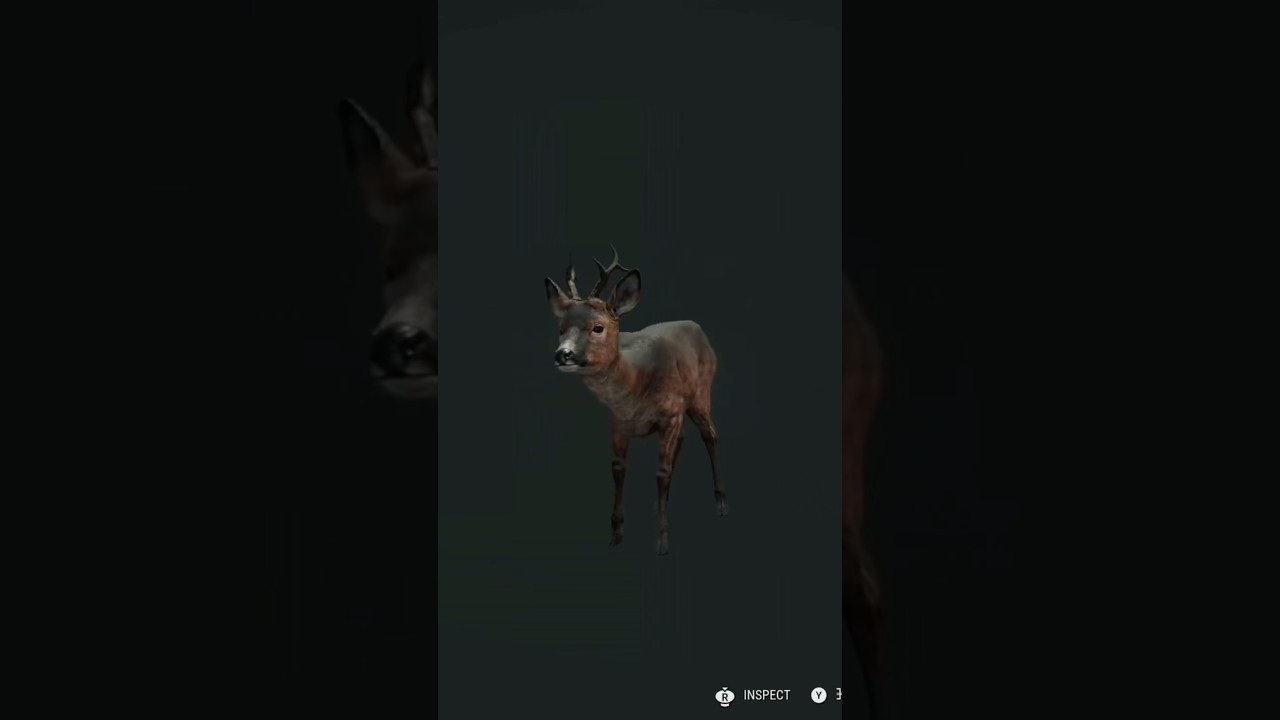WHAT color was this⁉️ #deer #hunting #cotwgameplay #jesus