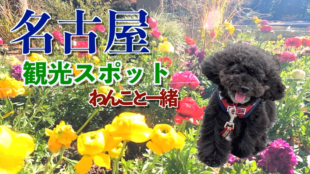 観光スポットめぐり第一弾　わんこと休日を楽しむ　花満開フラリエ公園