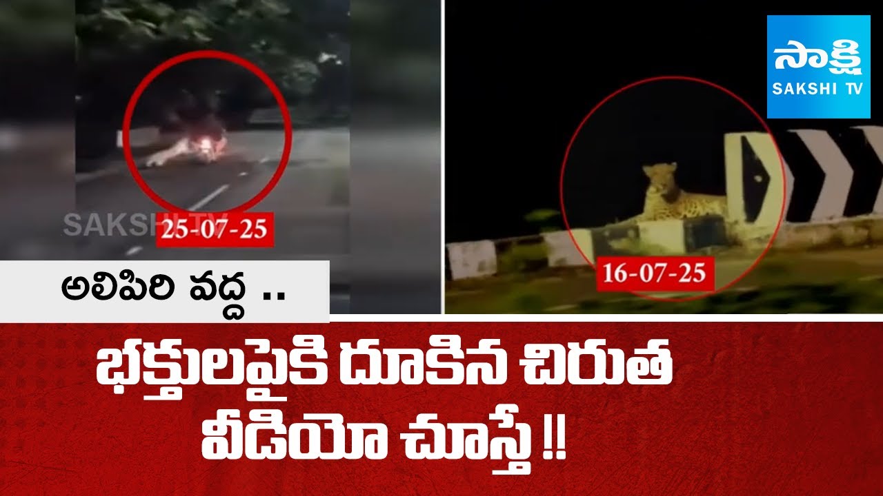 Leopard Attacks Man Riding Bike near Alipiri |Tirumala | Big Alert To Tirumala Devotees |@SakshiTV