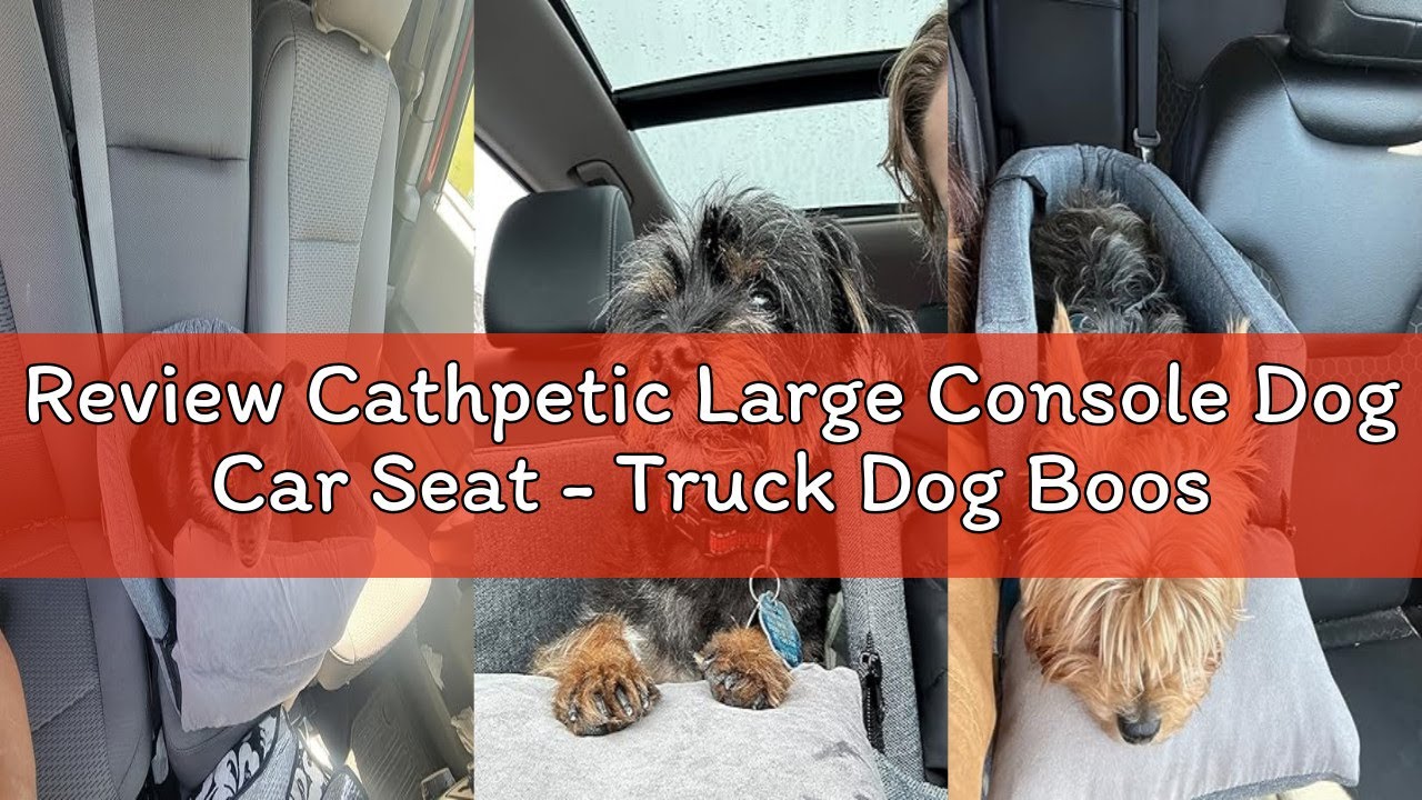 Review Cathpetic Large Console Dog Car Seat - Truck Dog Booster Seats for Big Console Vehicles Large