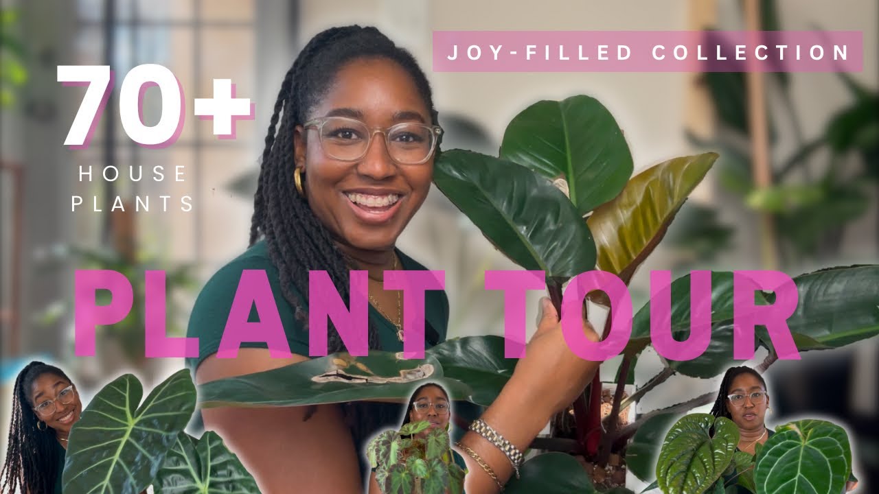 Plant Tour 2025: 70+ Plants In My Indoor Spiritual Sanctuary | Alocasias, Hoyas, Begonias & More! 🌱