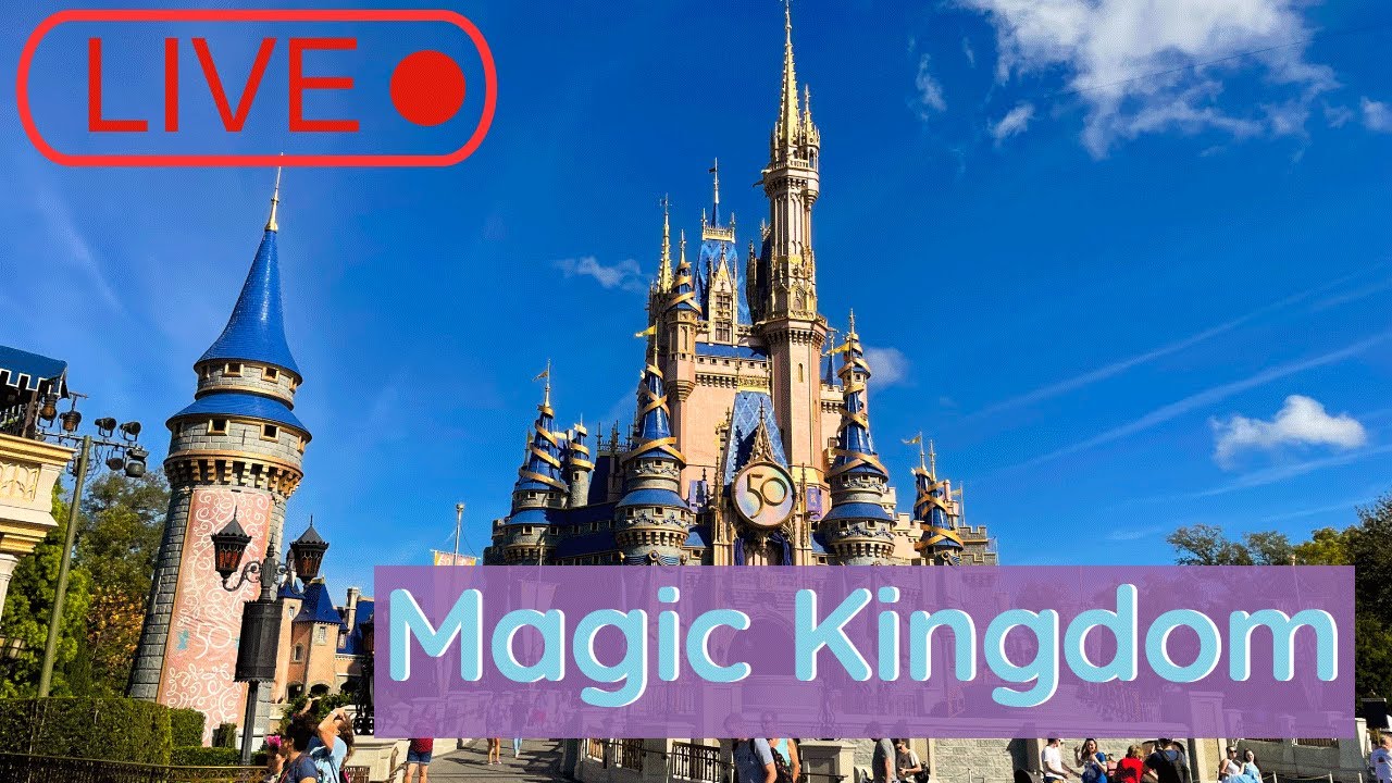 Hanging out at Magic Kingdom