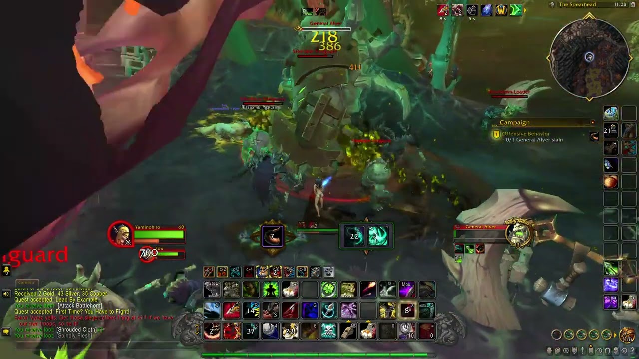 Offensive Behavior World of warcraft Game